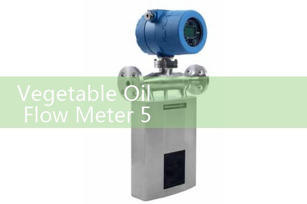 Vegetable Oil Flow Meter 5 m3/h Commercial Fryer Feed Line Metrics